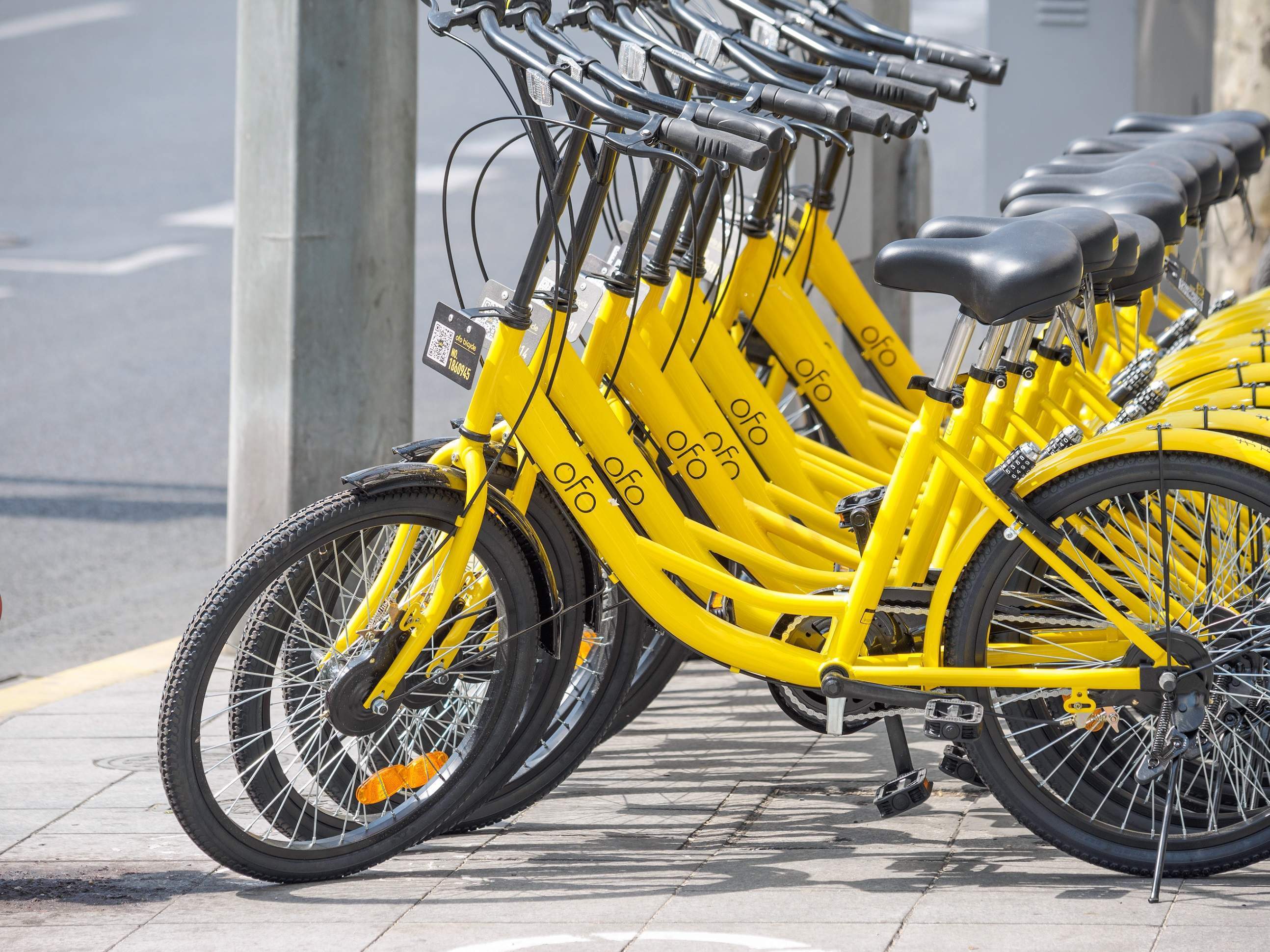 ofo global