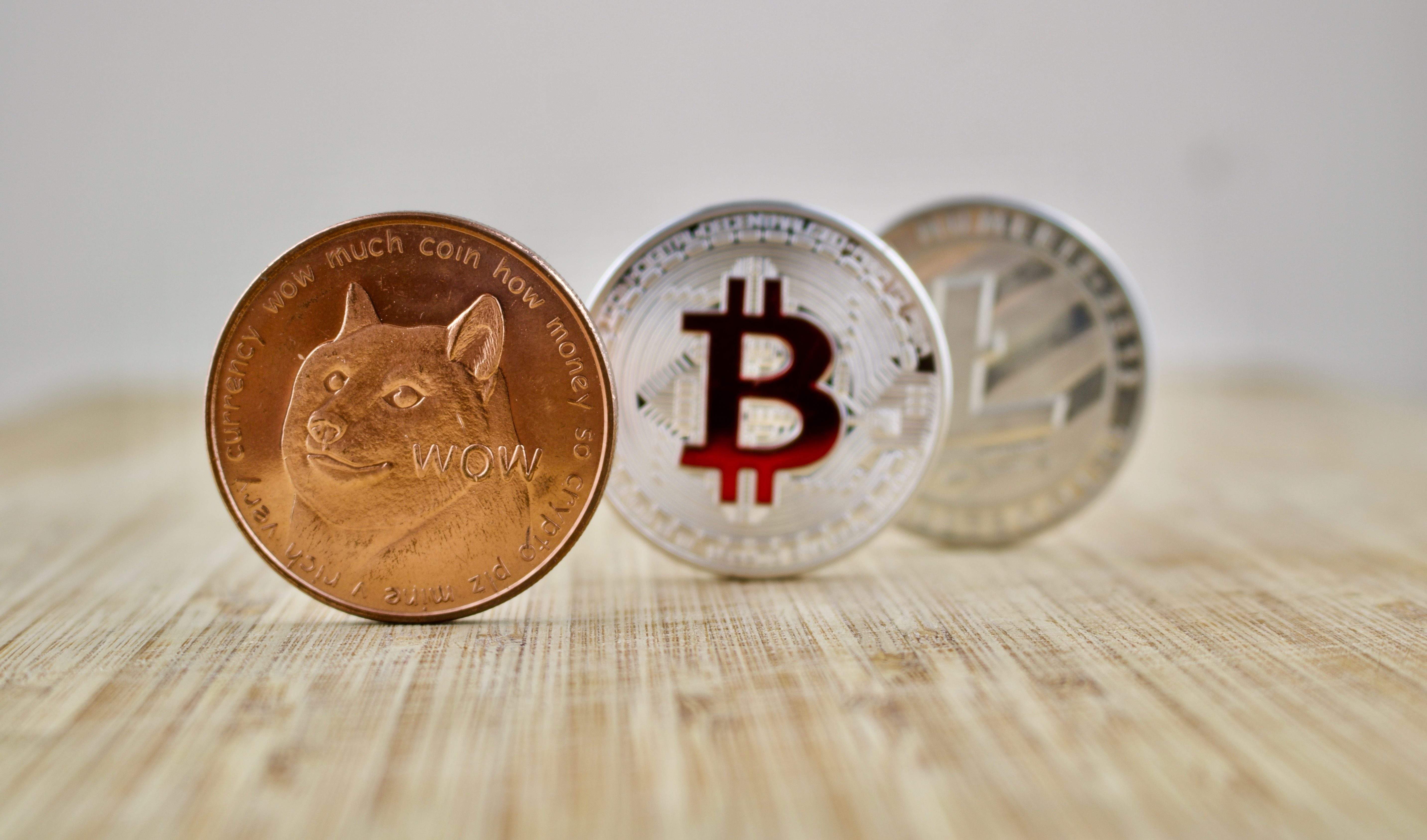 change dog coins to bitcoins to usd