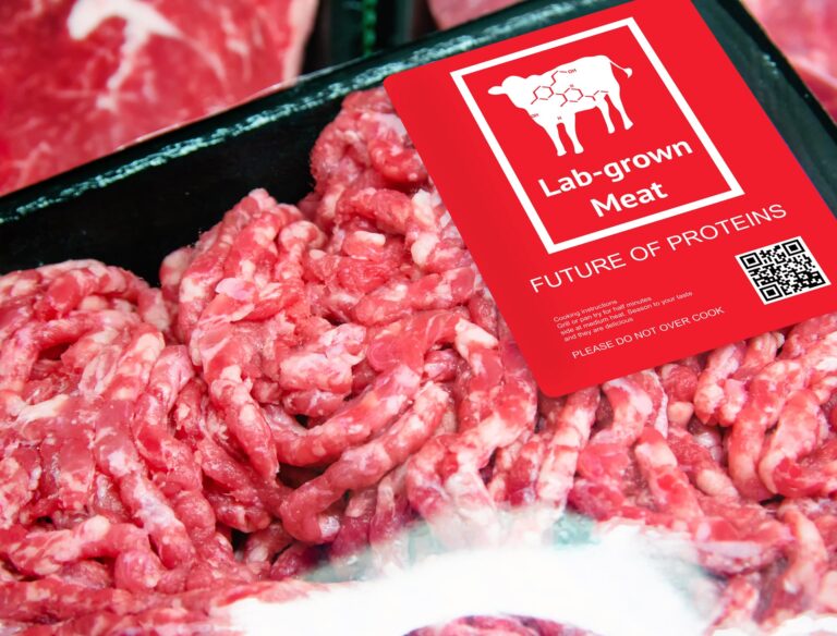 Lab-grown meat acceptance is possible, but only if marketed right - Verdict