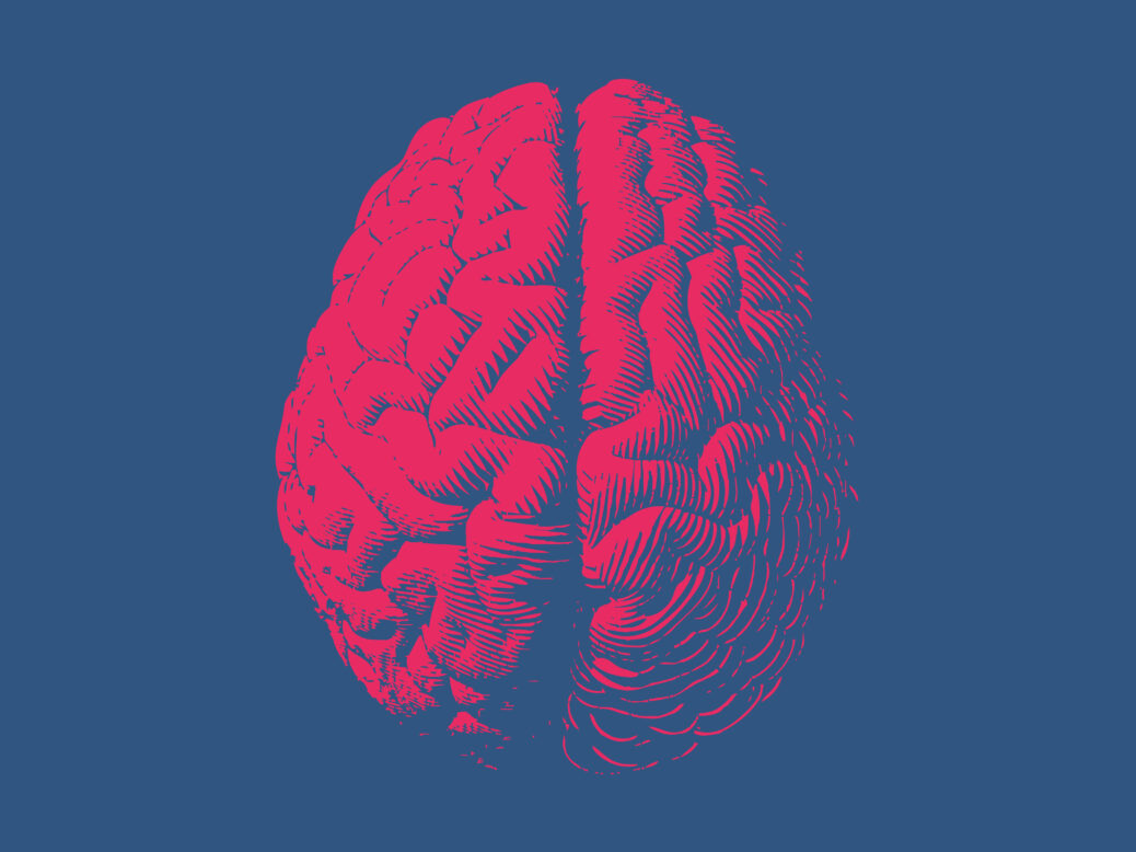 Мозг картинка